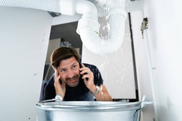 Best Affordable Plumbing Services  in Houghton, MI